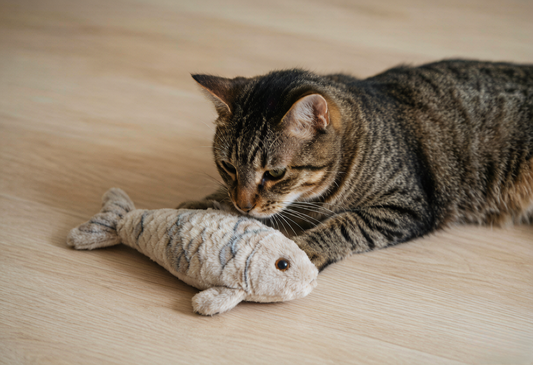 Catnip Fish Plush, Crinkle & Scent – GD-Meow